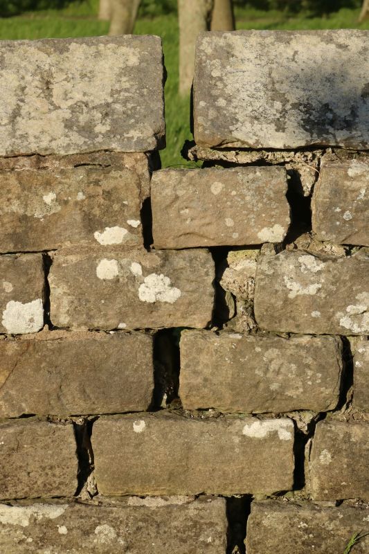 Stone Wall Repair in Pfafftown, NC